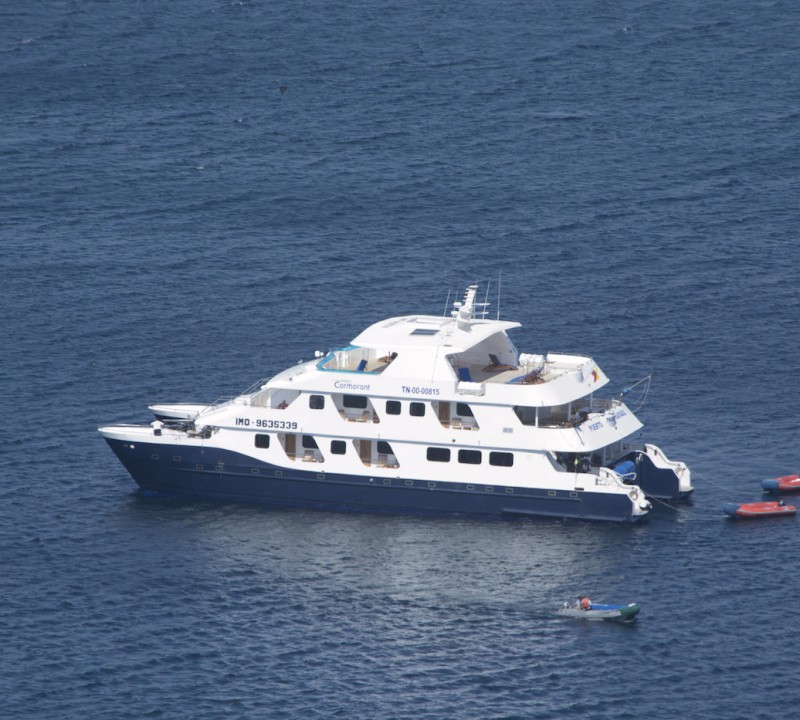 CORMORANT Yacht Charter Details, Custom CHARTERWORLD Luxury Superyachts